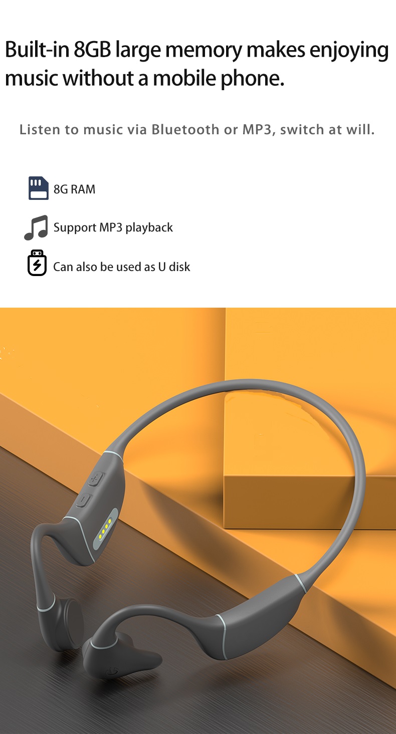 8GB Support Playback Seahorse+ model base